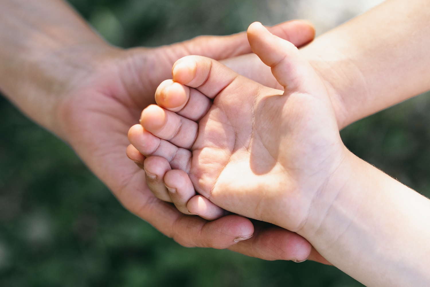 grandmother-and-child-hand-holds-a-heart-concept-2024-10-15-02-55-45-utc Vanhuksen ja lapsen kädet käsikkäin.